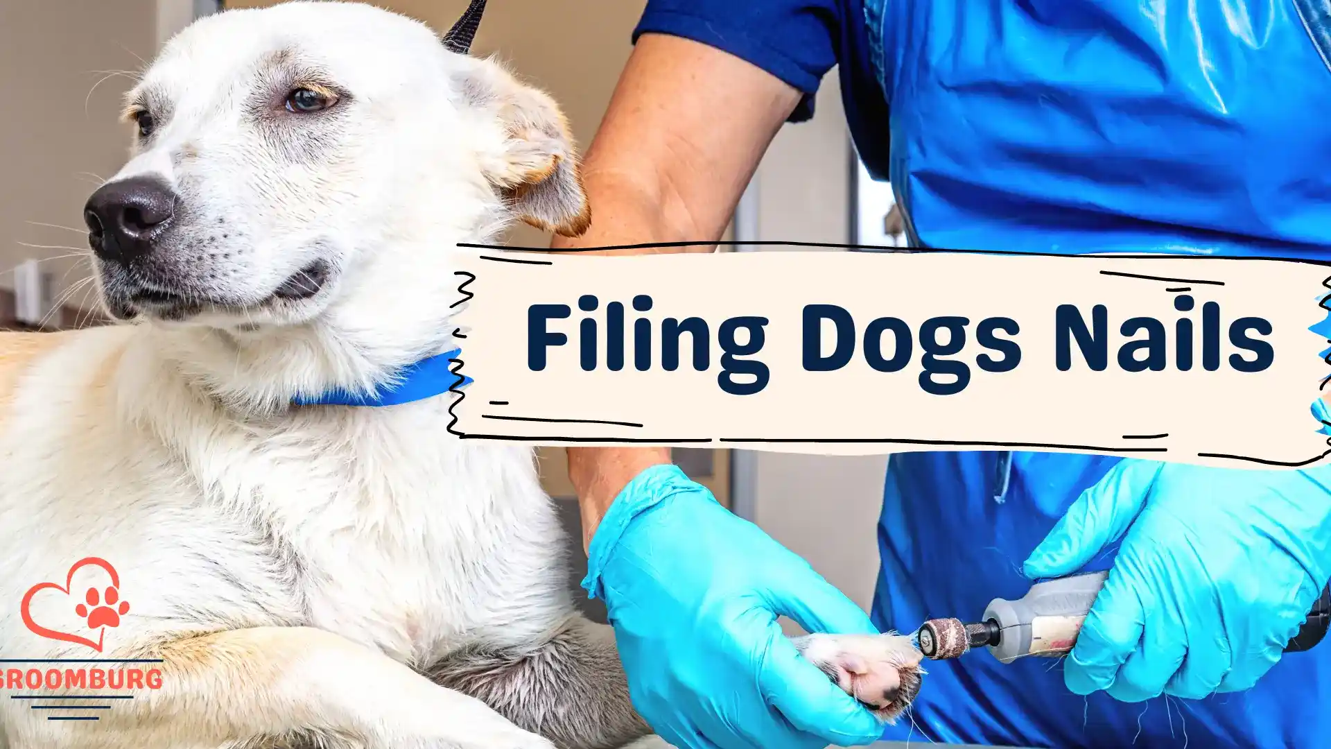 filing dogs nails