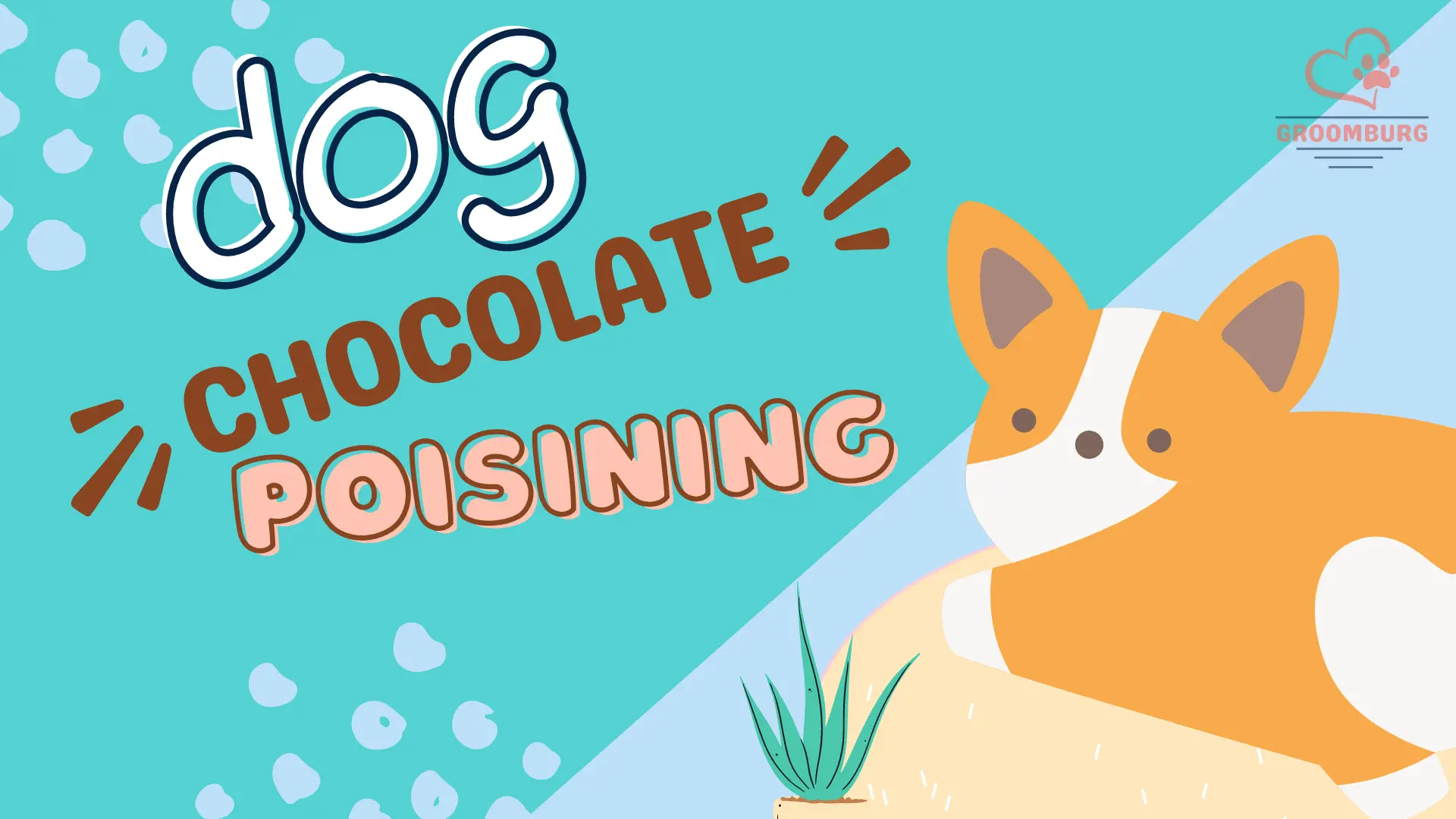 dog chocolate poisining