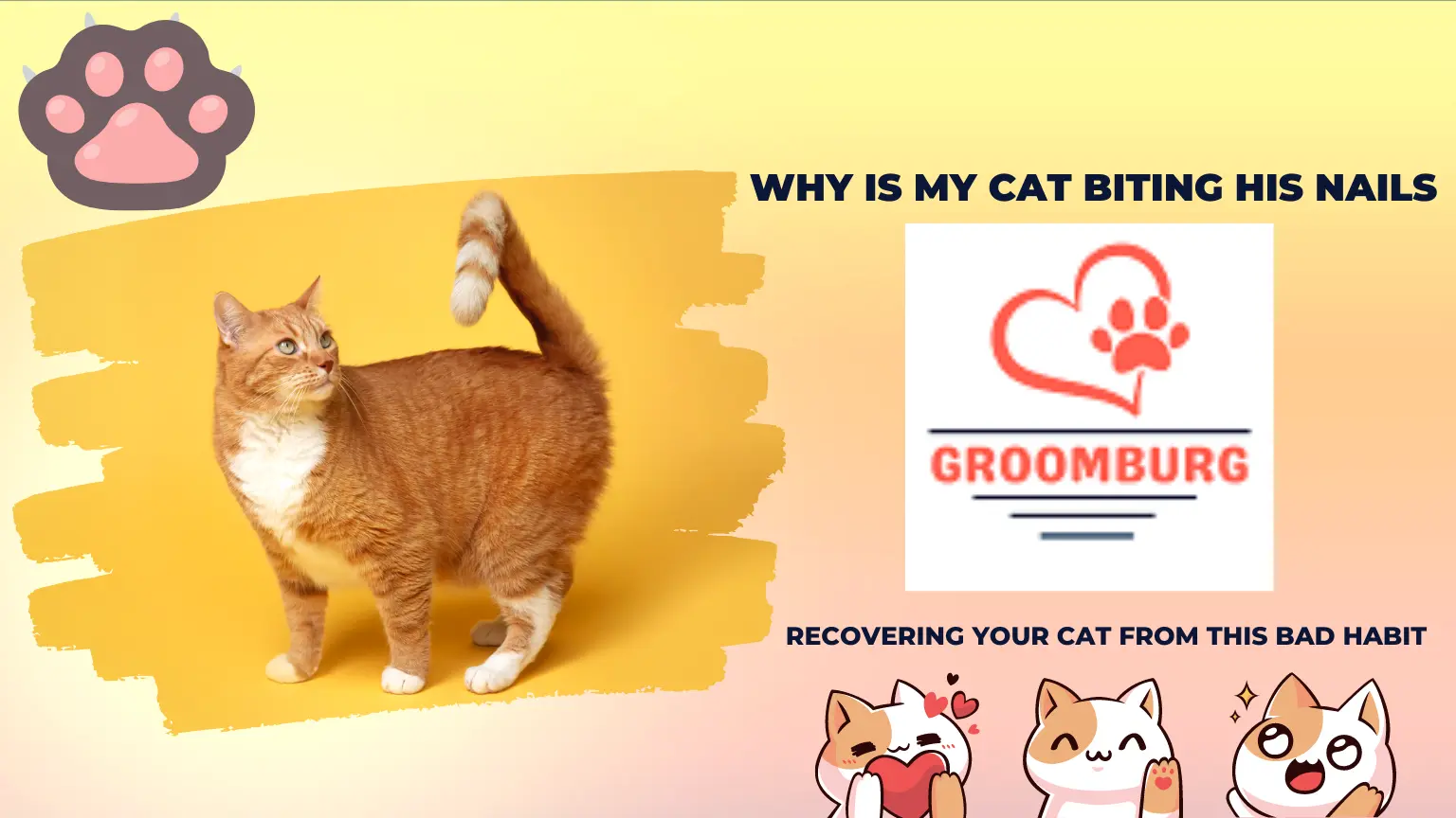 9 Surprising Reasons of Why is My Cat Biting his Nails – Treatment Guide and Recovery Practices