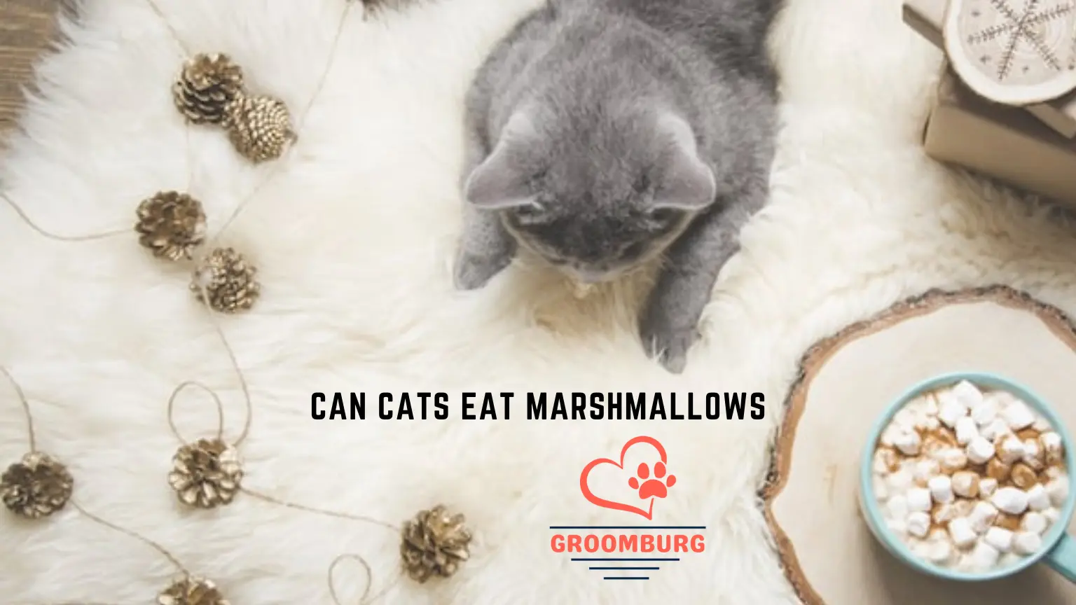 Can Cats Eat Marshmallows? Preventive Measures to Protect your Cat from these Harmful Foods