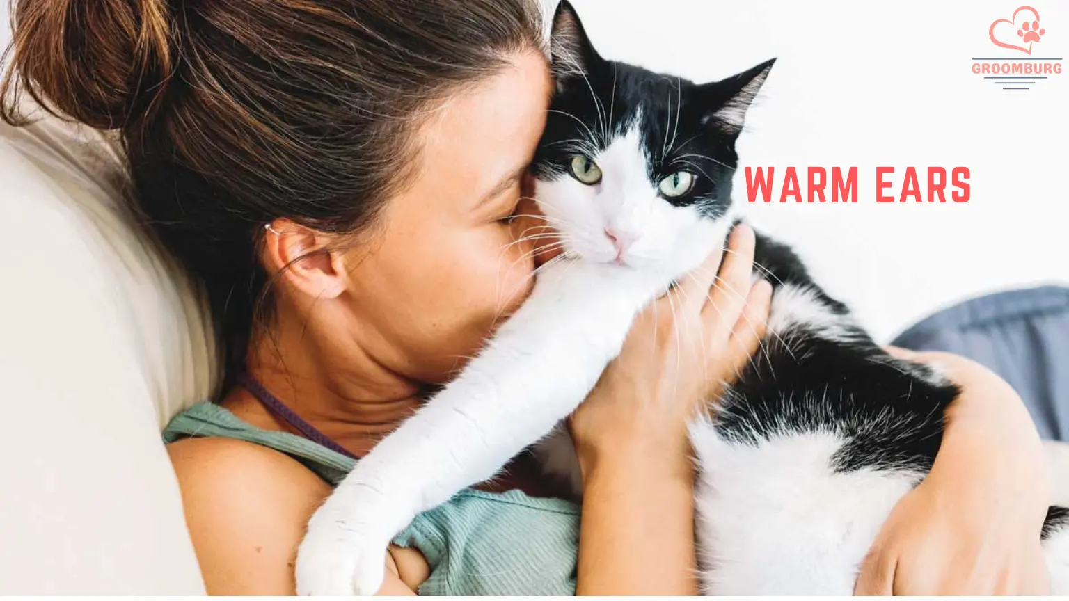 My Cat’s Ears are Warm and Red – Is it Normal – Groomburg’s Advice