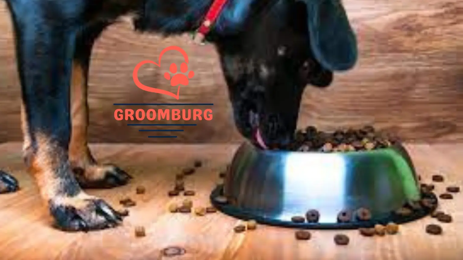 How to Find the Best Dog Treats for Sensitive Stomachs – Groombrug’s Prescription Diets